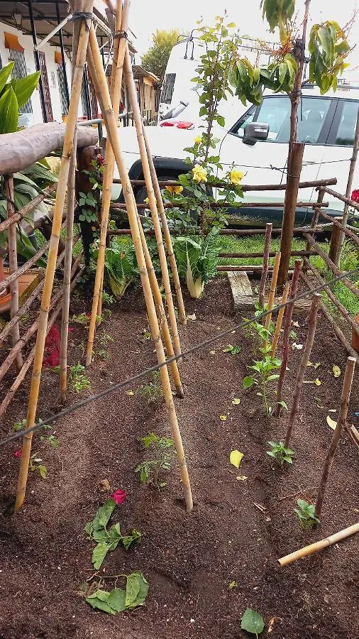 Affittacamere Jardines Del Acebron El Rocío Casa di campagna
